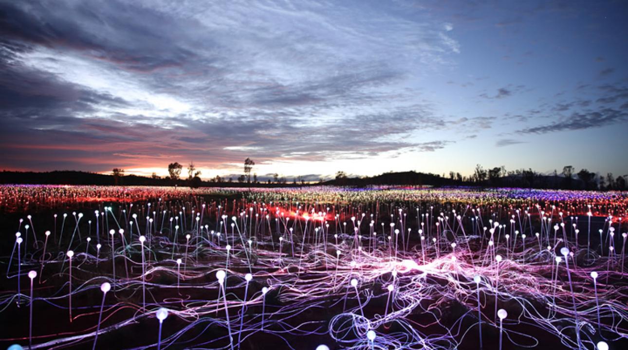 Field of Light