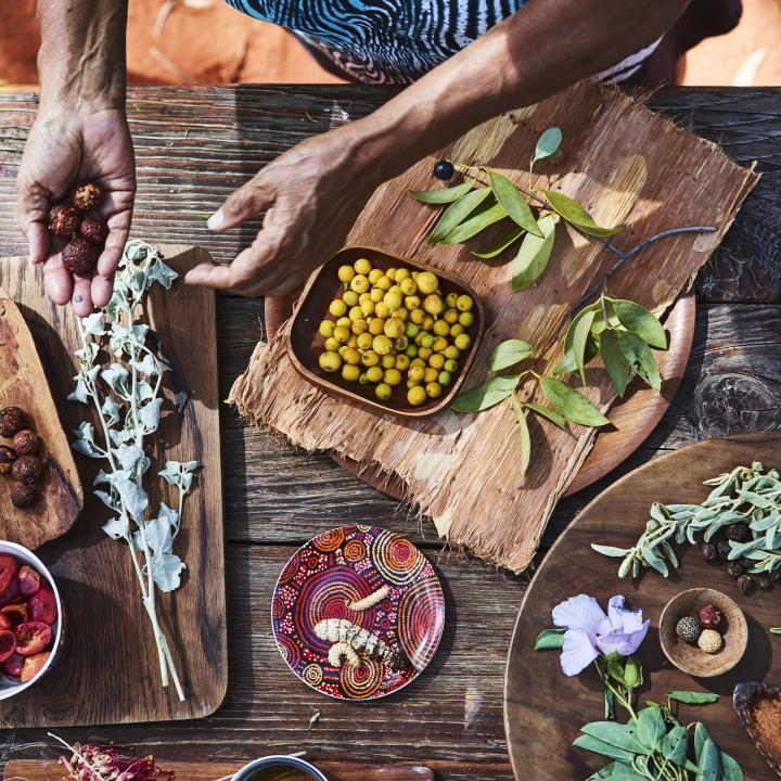 Bush Food Experience with Native Ingredients